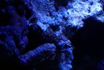 DSC02580_800x535.jpg