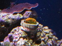 IMG_3518.jpg