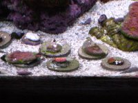 IMG_3521.jpg