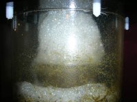 skim 002.jpg