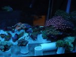 DSC08468.JPG