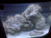 -Device Memory-home-user-pictures-IMG00188.jpg