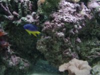 DSC06042.jpg