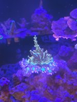 20210206_184436.jpg