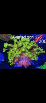 Screenshot_20210613-180314-039.png