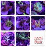 20 - Coral Pack #1.jpg