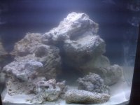 -Device Memory-home-user-pictures-IMG00191.jpg
