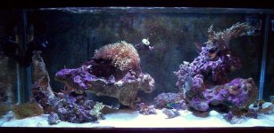 100_0474.JPG