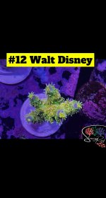 12 - Walt Disney - Copy.JPG