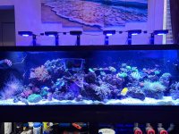 125 Gallon 2.jpg