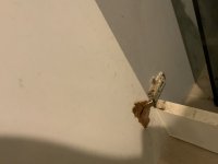 E0D03026-29C7-420E-8423-2A02ACA3C6D0.jpeg