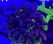 D5B87A2F-E2D3-4ABB-BEAC-03B691F7B0E5.jpeg
