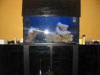 IMG_1816.jpg