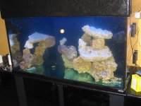 IMG_1818.jpg