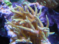 DSCN1029.jpg