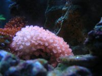 DSCN1011.jpg