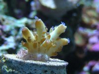 RSCN0964.jpg
