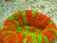 RSCN1106.jpg