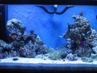 fishtank22.jpg