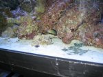 img_2888.jpg