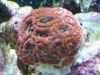 DSCF2043.JPG