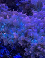CA2B2D8E-B566-4065-BD62-A9B900D847DA.jpeg