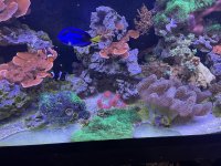 IMG_5716.JPG