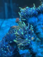 A98EAB9E-44B5-4BF8-BA61-1E3DEB44F19A.jpeg