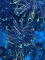 2F57766D-DB09-4B19-87C3-74B1CB66F72A.jpeg