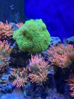 5F574273-BB3E-4E18-B778-155F252FA5B2.jpeg