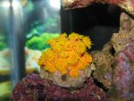 nyc 129.jpg