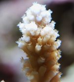 DSC_0055.JPG