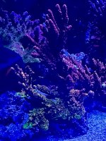 E0E277EA-41E5-48CE-B7AD-98349FE1B0C9.jpeg