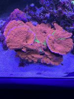 D28781A7-567B-4FD2-8C99-CBCB94DBF7D2.jpeg