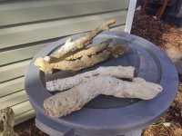 IMG20230201121554.jpg