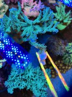 C85C914B-99E9-4695-8CA5-BC4BC016B038.jpeg