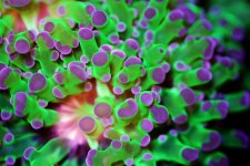 Depositphotos_316975336_xl-2015-1.jpg