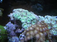 DSCN0855.JPG