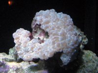 IMG_0397.jpg