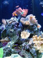 IMG_0611.jpg