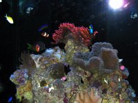 IMG_0614.jpg