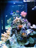 IMG_0616.jpg