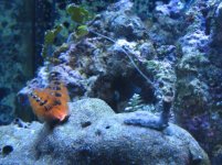 IMG_1112.jpg