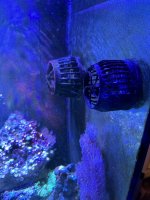 IMG_2884.jpeg