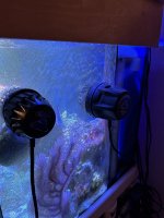 IMG_2885.jpeg
