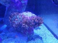 20230625_193910.jpg