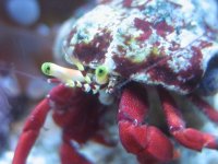 IMG_1422.JPG