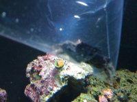 IMG_0268.jpg