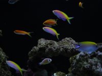 DSC08571.JPG