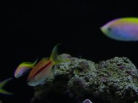 DSC08567.JPG